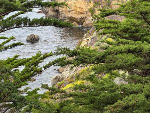 Big Sur - Garrapata State Park